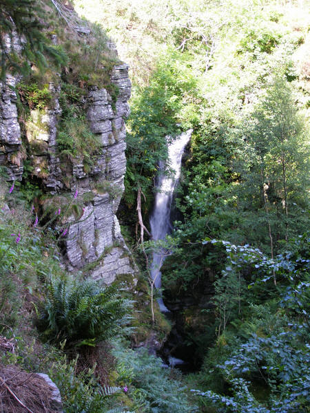 Spout Force Waterfall