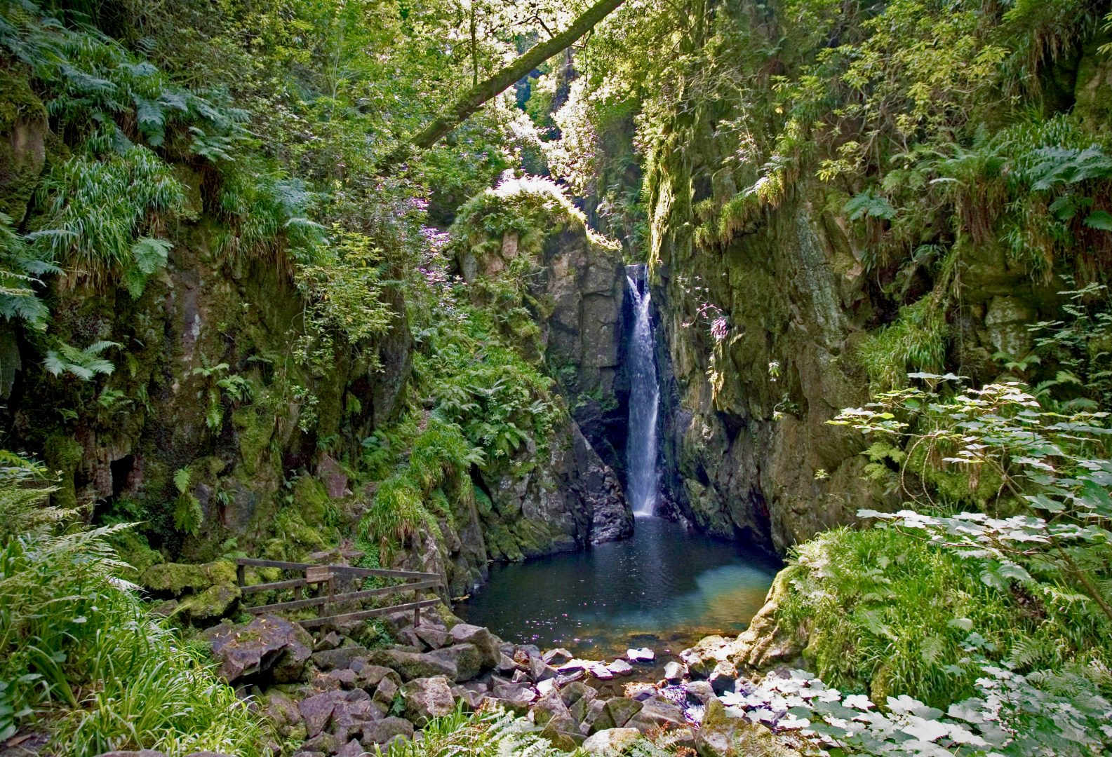 Stanley Ghyll Force Waterfall